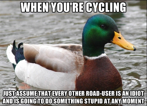 Advice Mallard for Cyclists